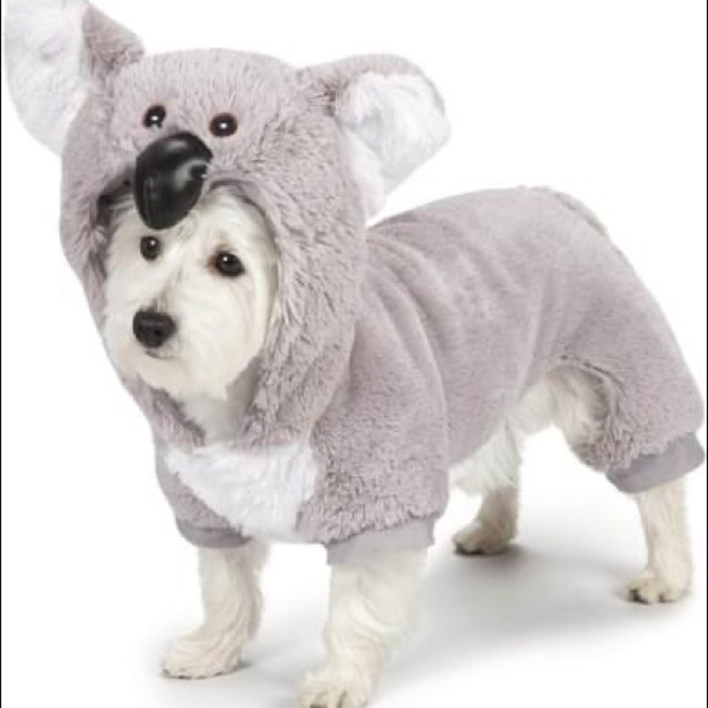 Zack & Zoey Koala Bear Dog Costume - Picture 1 of 1